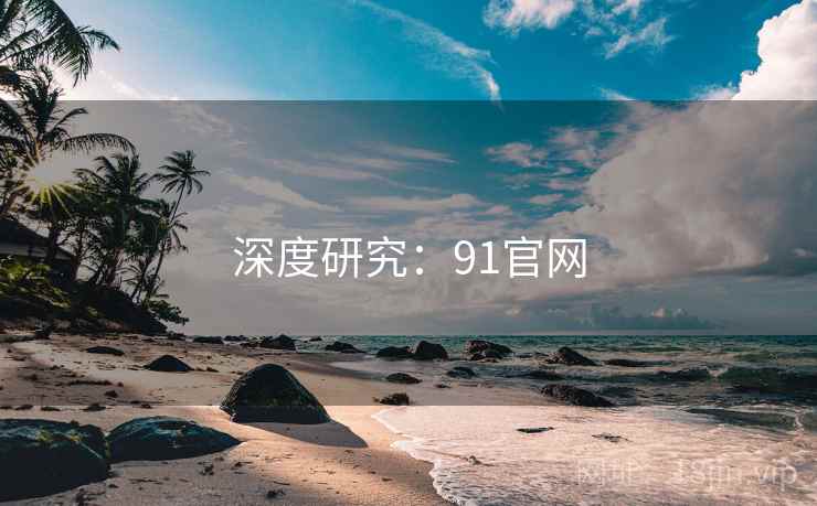 深度研究：91官网