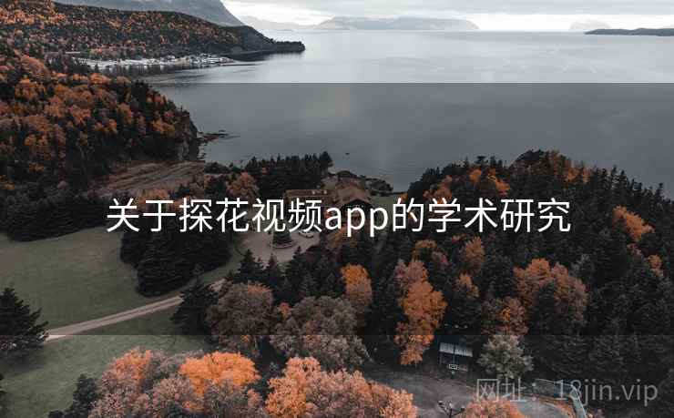 关于探花视频app的学术研究