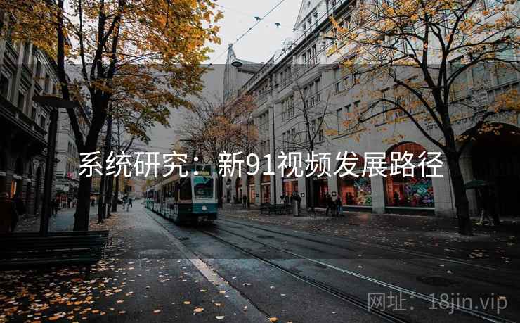 系统研究：新91视频发展路径