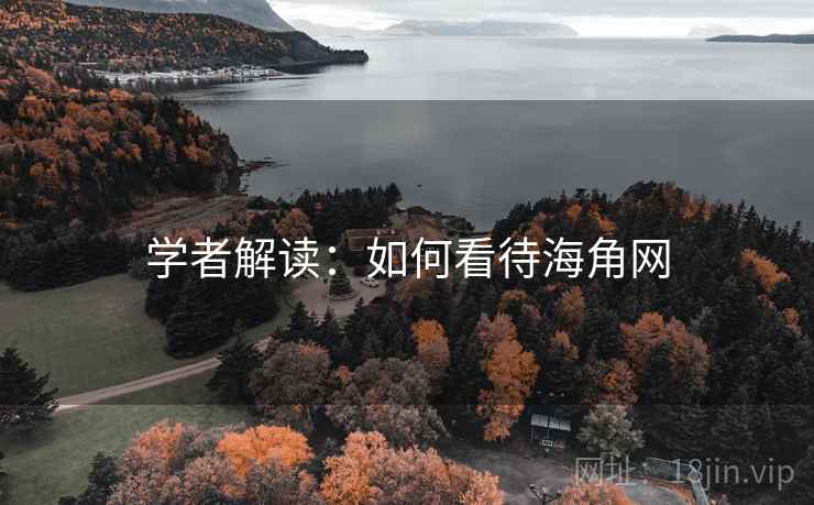 学者解读：如何看待海角网