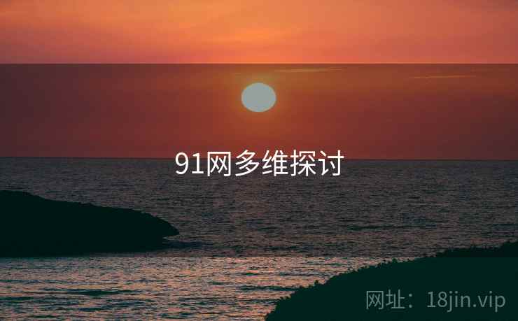 91网多维探讨